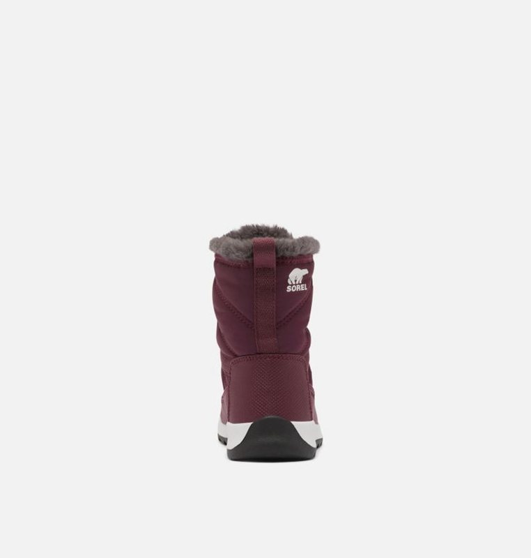 Kids Snow Boots Purple - Sorel Youth Whitney™ II Short Lace - 093-JPNBGH